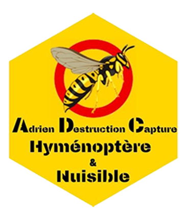 ADC Hyménoptère et Nuisible